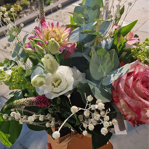 Fleurs de Champ